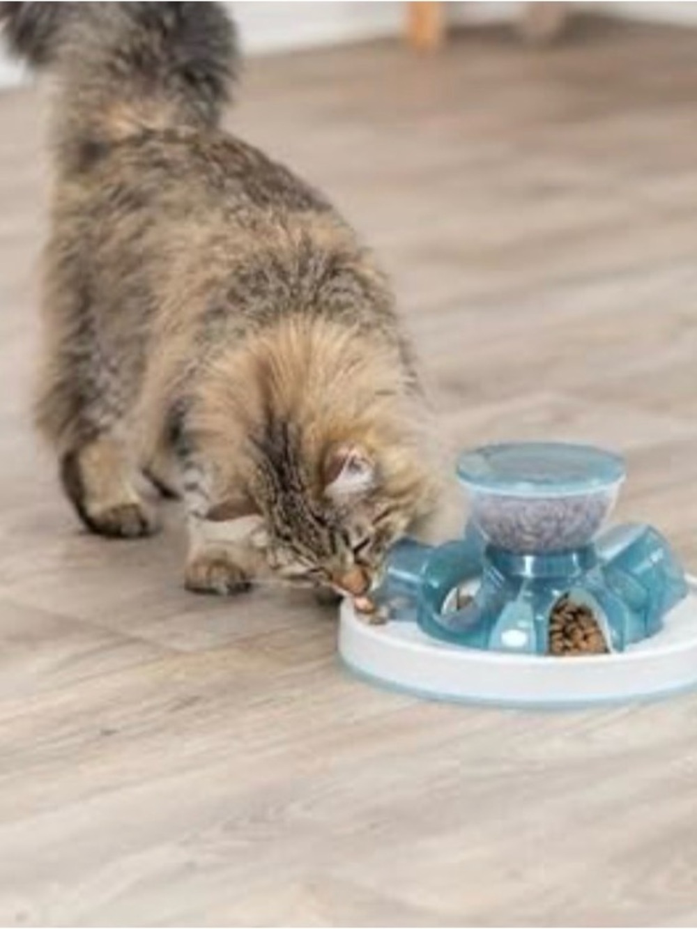 Interactive Cat Slow Feeder & Treat Dispenser - Light Blue - Picture 4 of 5